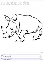 coloriage-rhinoceros-1